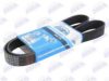 VOLVO 20412534 V-Ribbed Belts